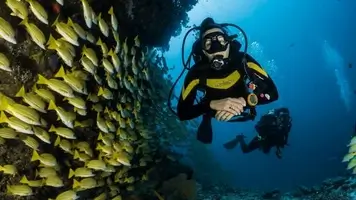 Entspanntes Tauchen zwischen Schwärmen bunter Fische - wer hat noch nicht davon geträumt?