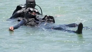 Das Buddy Team: aufeinander acht geben, sich gegenseitig helfen, im Notfall eingreifen.